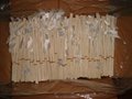 Bamboo reeds 002 3