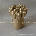 Q19115-T51 button bits 1