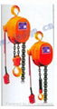 聊城各種型號優質鋼絲繩電動葫蘆 5