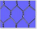 Hexagonal Wire Mesh 1