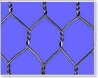 Hexagonal Wire Mesh