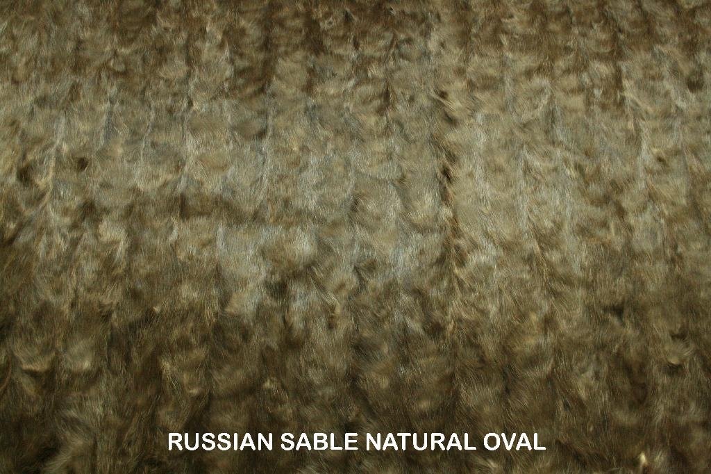 SABLE FUR PLATES(front paw,behind paw ,oval,head) 5