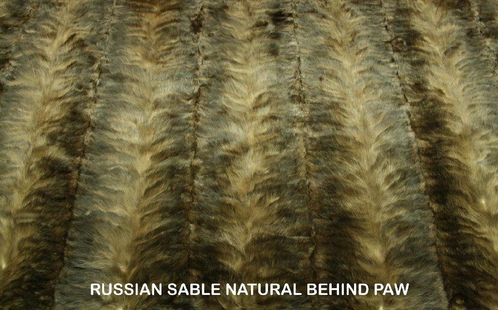 SABLE FUR PLATES(front paw,behind paw ,oval,head) 3