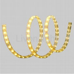 LED TAPE ROPE LIGHT 