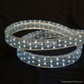 LED light tube 1