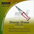 Sheep Shear