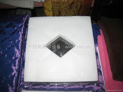 Disposable Pillow Sheet  Rhombus Hole 