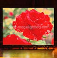 Indoor Full Color LED Display (SMD 3 in