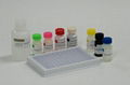 HBsAg Elisa Kit