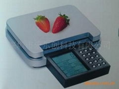 kitchen  scale