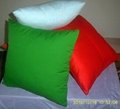 Colorfic pillow