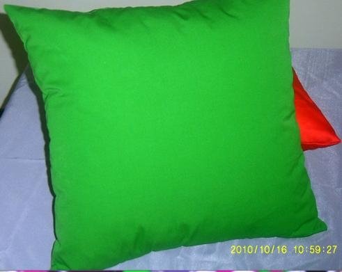 Colorfic pillow 2