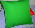 Colorfic pillow 2