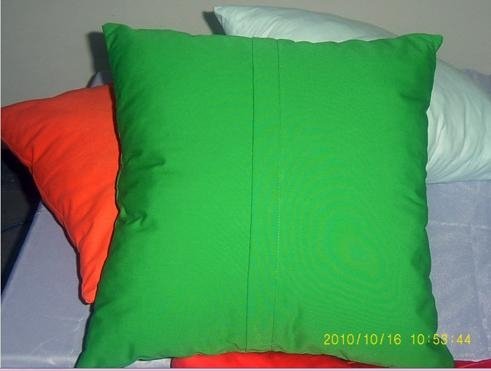Colorfic pillow 3