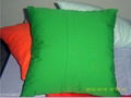 Colorfic pillow 3