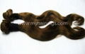 Remy Hair Weft 1