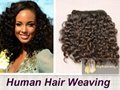 Brazilian Human Hair Curly Veaving