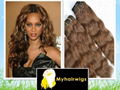 Brazilian Remy Hair Extensions 1