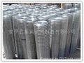 厂家供应优质不锈钢电焊网 4