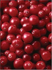 Cranberry P.E. 