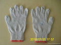 cotton glove 1