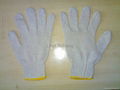 cotton glove 2