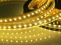 3528 SMD Flexible Strip with Non-waterproof 5 Meters 600 LEDS  2