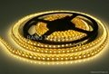 3528 SMD Flexible Strip with Non-waterproof 5 Meters 600 LEDS  4