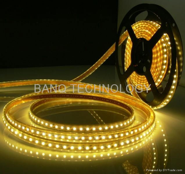 3528 SMD Flexible Strip with Non-waterproof 5 Meters 600 LEDS  5