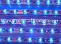 5050 SMD Flexible Strip /holiday lamp with NON-waterproof 5 Meters 300 LEDS  4