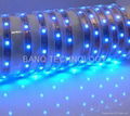 5050 SMD Flexible Strip with waterproofIP65 5/Meters 300 LEDS  1