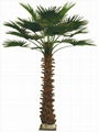 Artificial Palm Tree 1