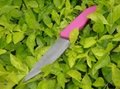 4" Parer Ceramic Knife with Purple Silicone Handle 1