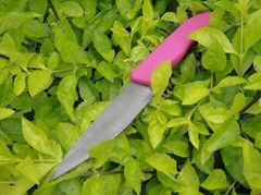 4" Parer Ceramic Knife with Purple