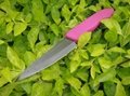 4" Parer Ceramic Knife with Purple Silicone Handle 2