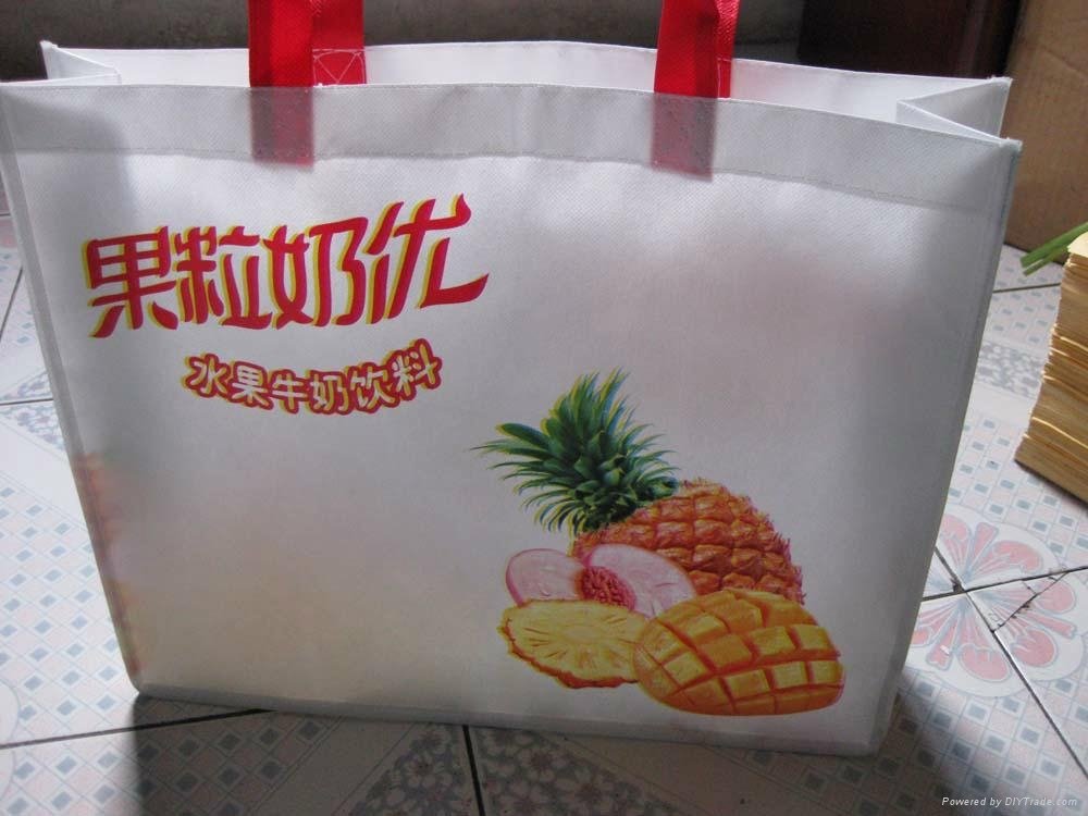 Shopping bags Wholesale China 2