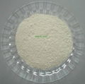 Xanthan Gum 1