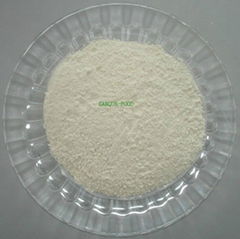 Xanthan Gum