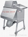 DICER 1