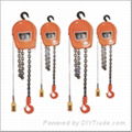 DHS electric chain hoist 1