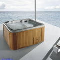 Hot tub spa with thermostatic system