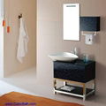 Bath vanity with glass door and sink vessel-9973 1