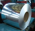 Galvanized Steel Coils 1