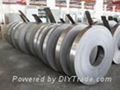 Galvanized steel strip 2