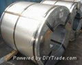 Galvanized Steel Coil 1