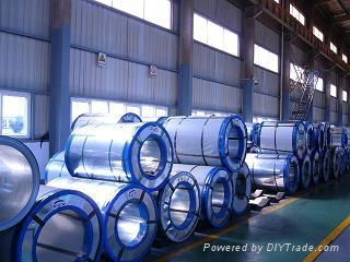 Galvanized Steel Coils 2