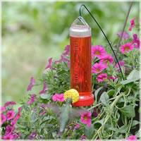 Supply of bird feeders, seed bird feeders 4