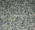 Leopard Skin granite color