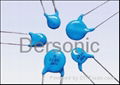 Ceramic Capacitor(High voltage,high quality) 1