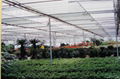 POlycarbonate Hollow sheet used for green house 2